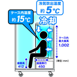 Personal cooling box